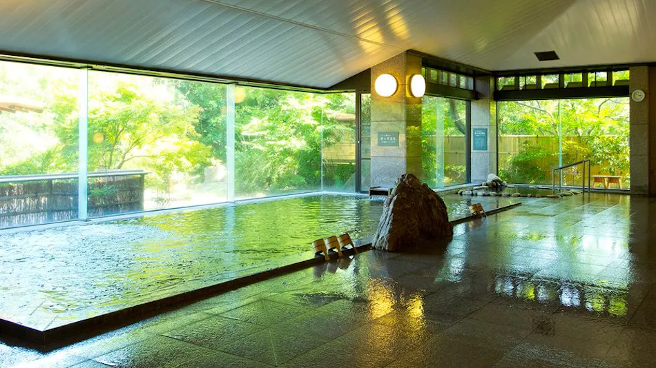 Yunoyama Onsen Green Hotel