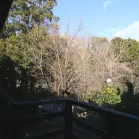 ตัวอย่างห้องพักแบบเช่าทั้งหลัง / วิวจากดาดฟ้า