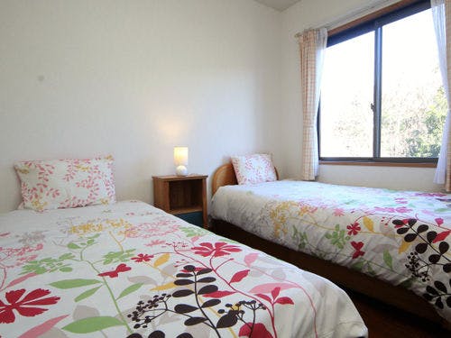 エコノミックツイン