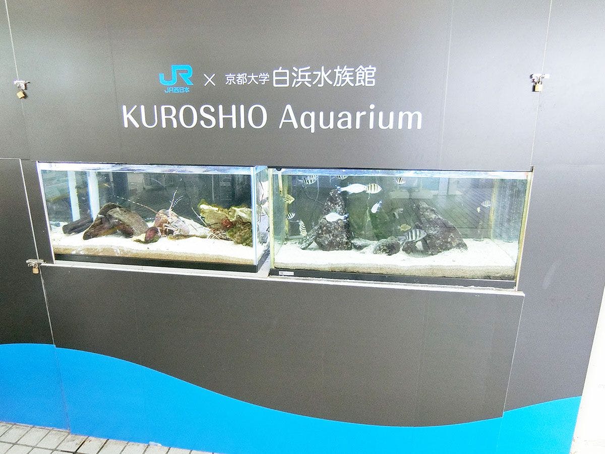 - พิพิธภัณฑ์สัตว์น้ำขนาดเล็ก