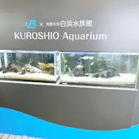 - พิพิธภัณฑ์สัตว์น้ำขนาดเล็ก