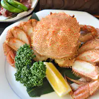 【晚餐示例/升级方案】