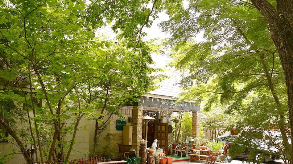 Nikko Park Lodge Mountain Side