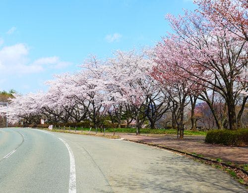 雫石川園地