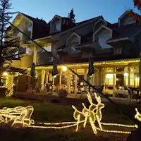 가든 일루미네이션