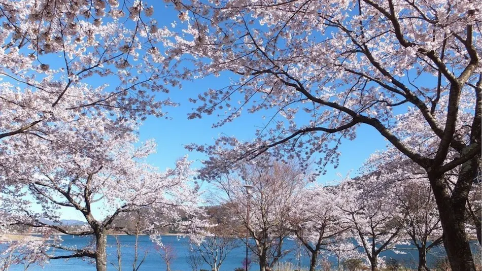 Ashiwada Hotel