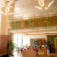 ภาพล็อบบี้