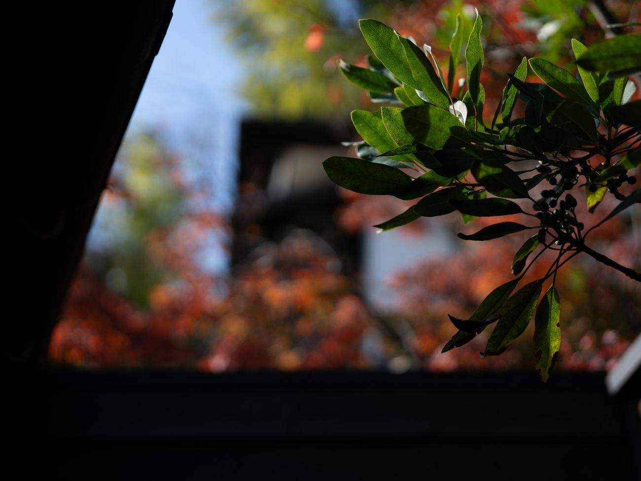Ryokan Kiraku