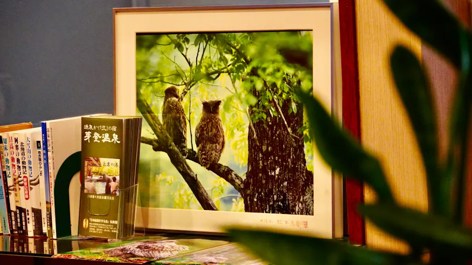 Meto Onsen Hotel