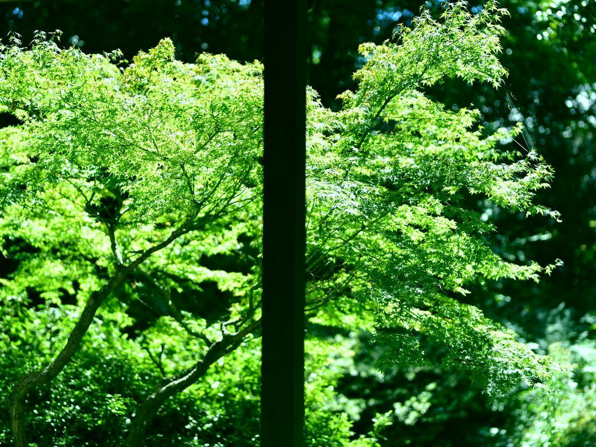 Beppu Housensou