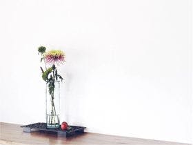 野田西村（ＡＩＭＡ）