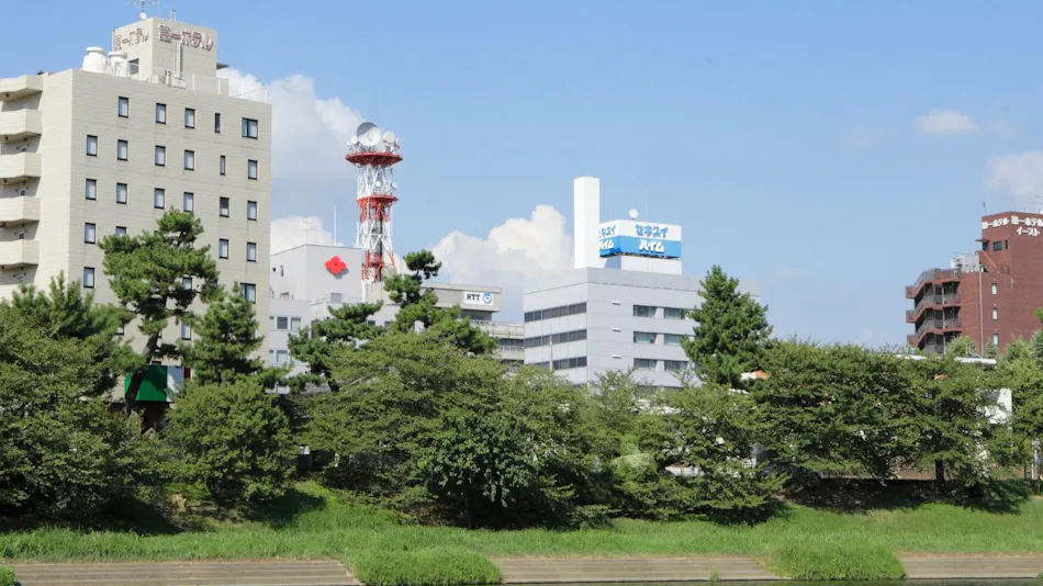 Okazaki Daiichi Hotel