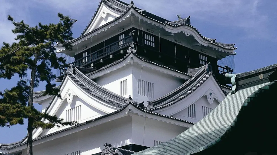 Okazaki Daiichi Hotel