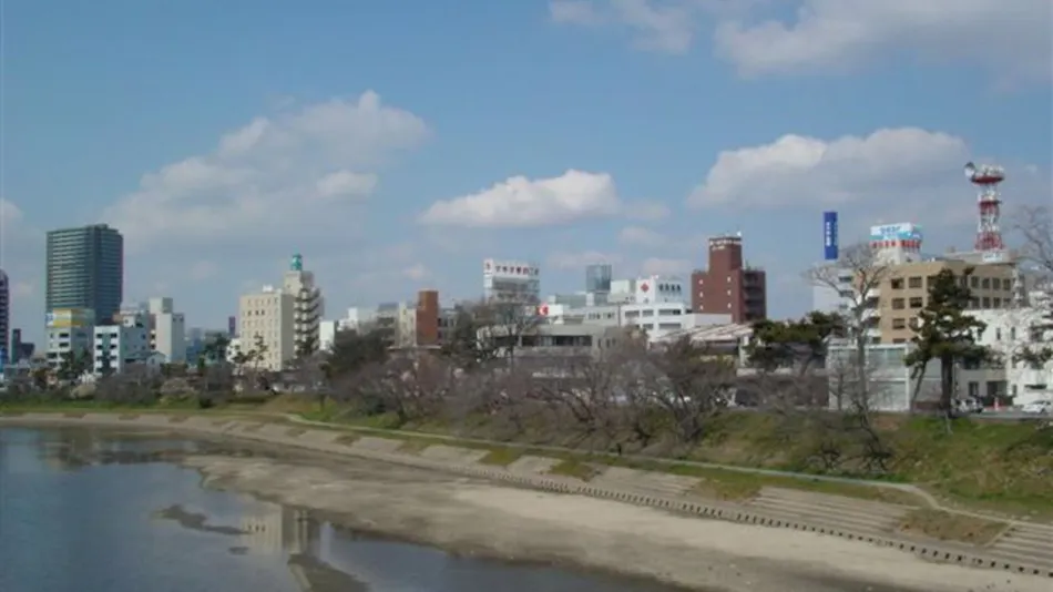 Okazaki Daiichi Hotel