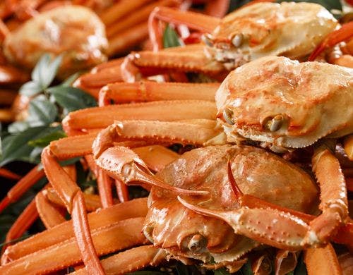 紅ズワイ蟹