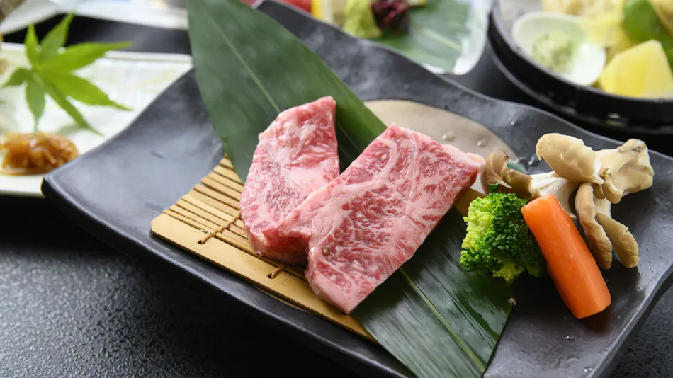 Taishakukyo Kanko Hotel Kinsaikan