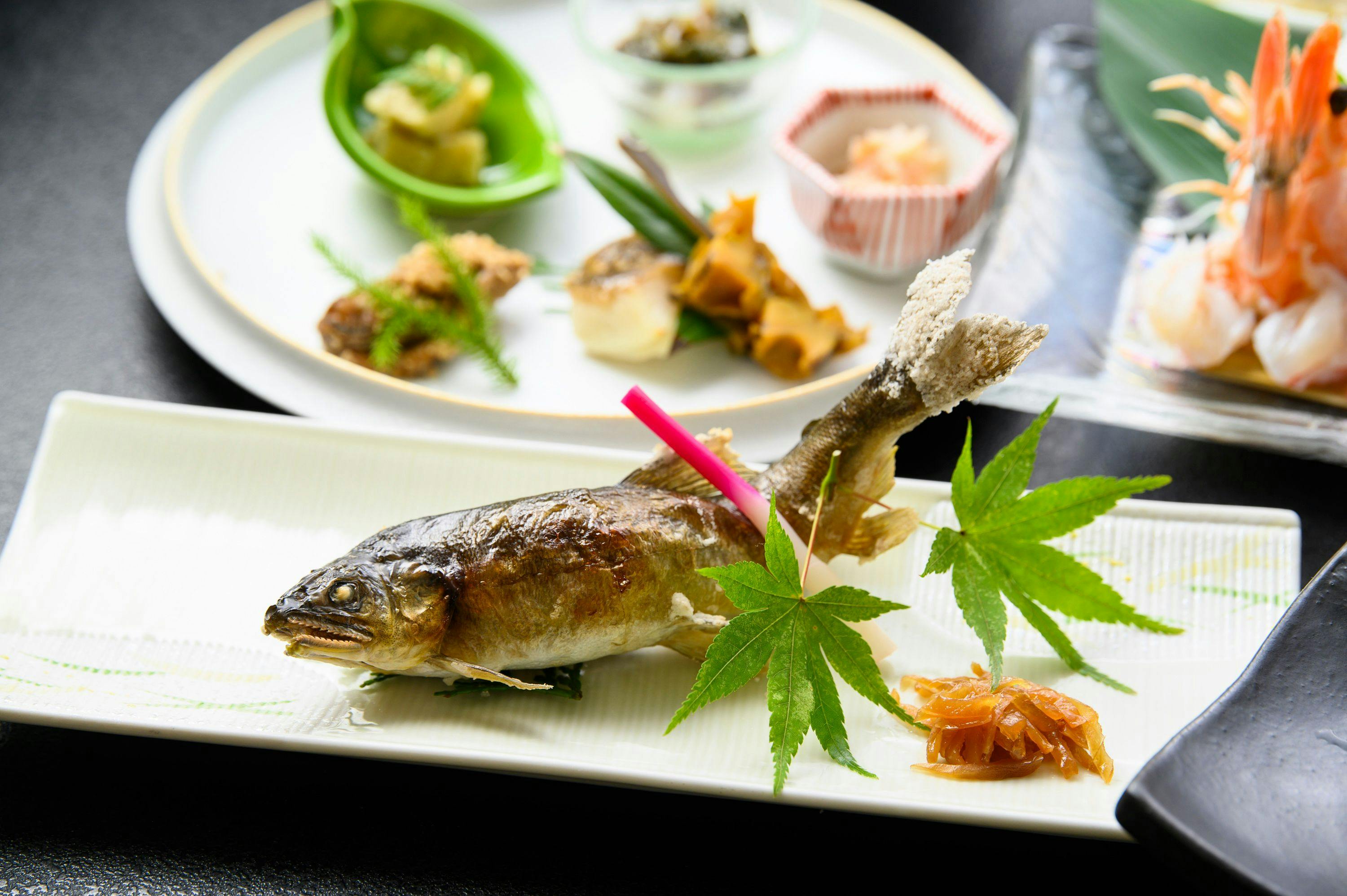 Taishakukyo Kanko Hotel Kinsaikan