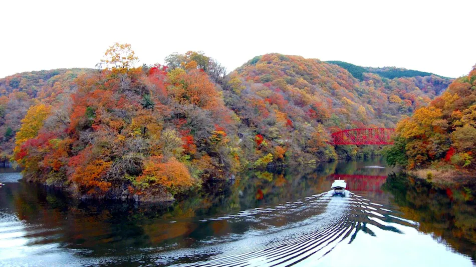 Taishakukyo Kanko Hotel Kinsaikan