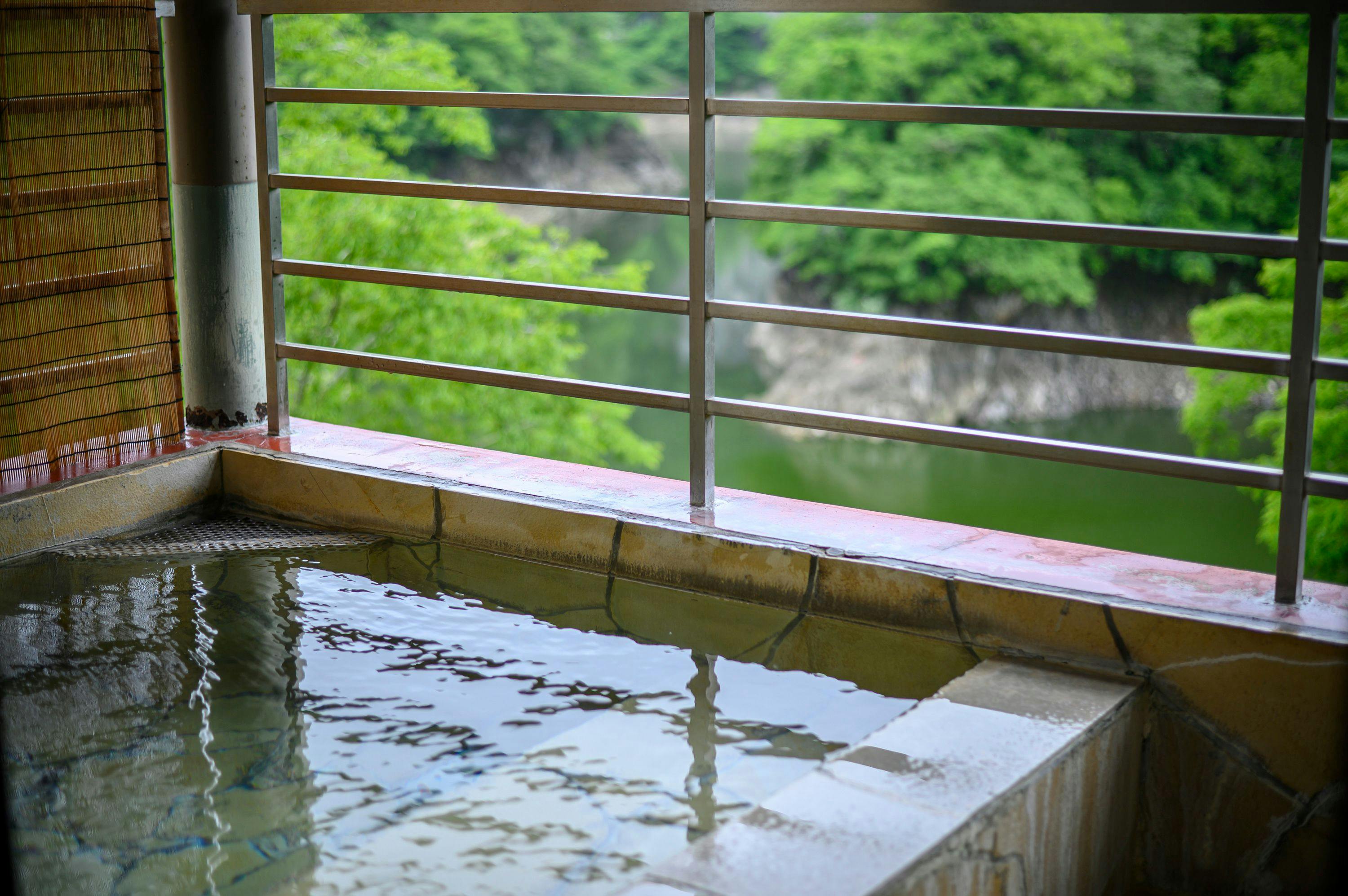 Taishakukyo Kanko Hotel Kinsaikan