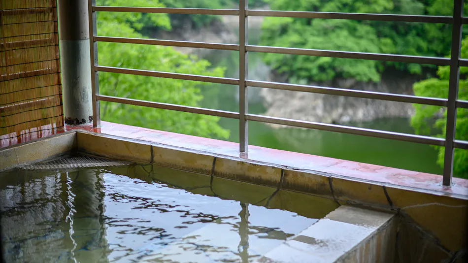 Taishakukyo Kanko Hotel Kinsaikan