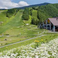 【เท็นเก็นไดโคเก็น】ที่ราบสูงวิวสวยตระการตา (ขับรถ 30 นาที)