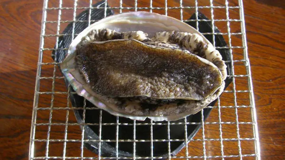 Minshuku Andoya Kinkai-so