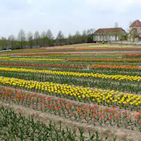 บลูเมนฮิลล์