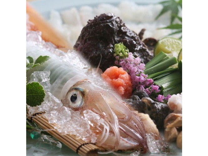 Satsu Onsen Minshuku Oishiyado Kadoya <Kasumi>