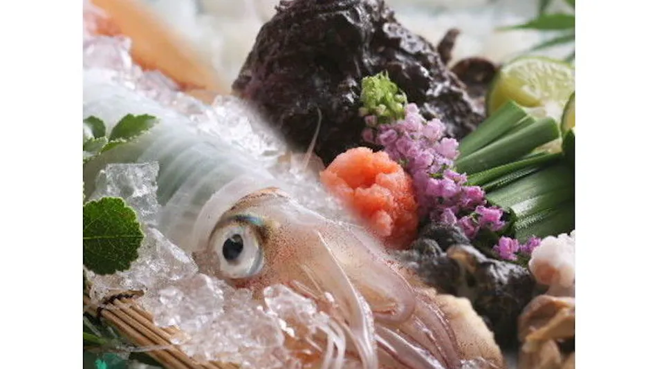 Satsu Onsen Minshuku Oishiyado Kadoya <Kasumi>