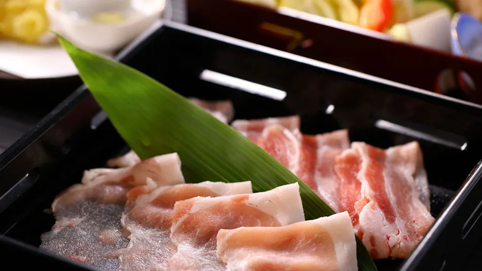 Shibu Onsen Ikariya Ryokan