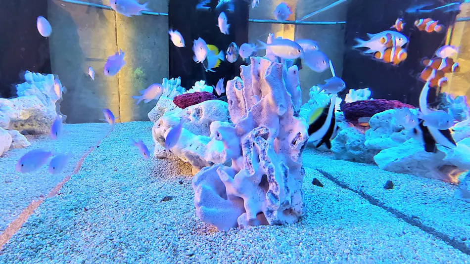 Hotel Astia Nagoya Sakae