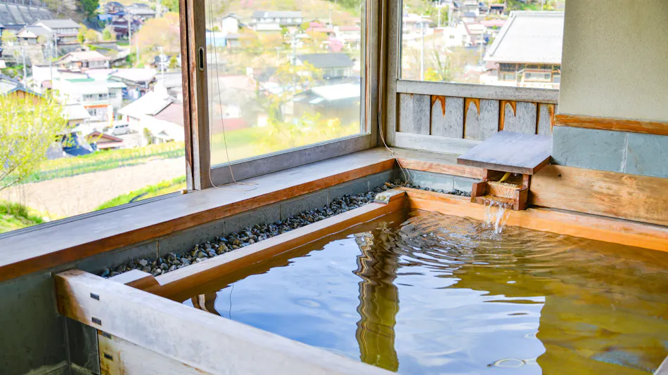 Okutenryu Fudo Onsen Sawaya