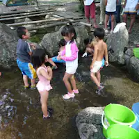 จับปลาเทราต์