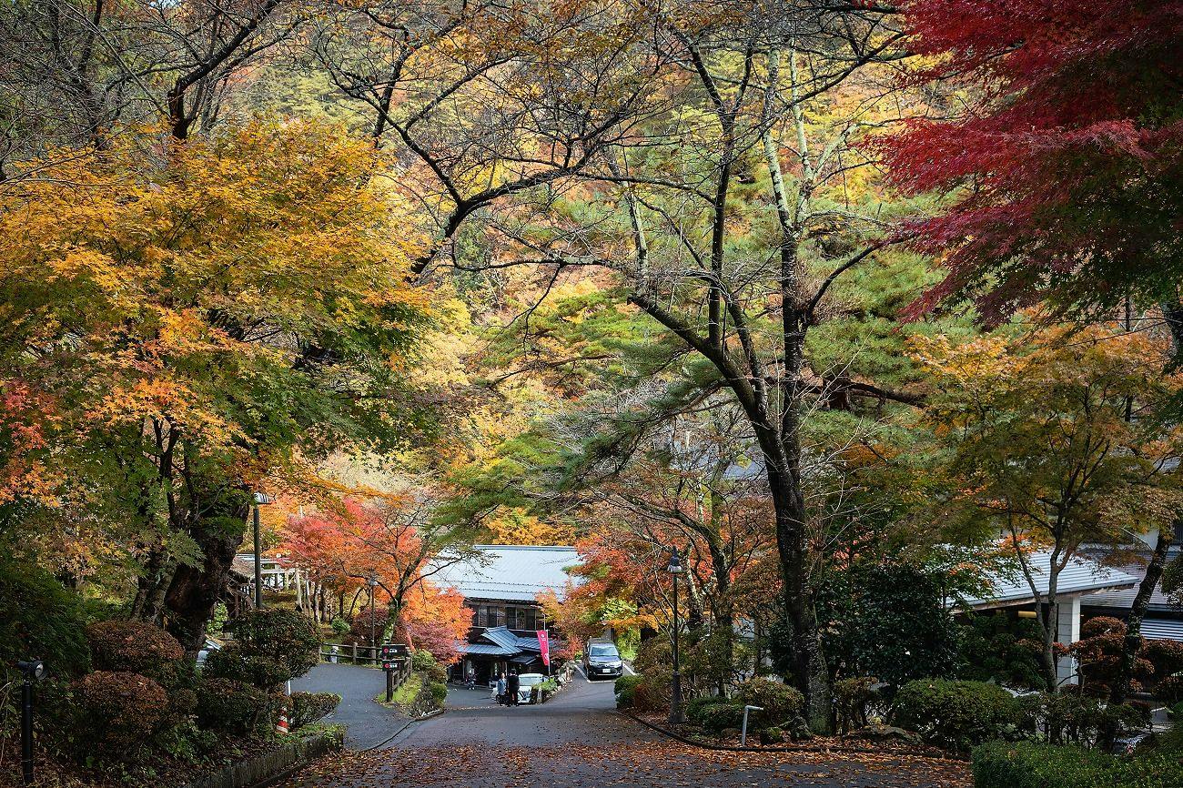 Osawa Onsen Sansuikaku