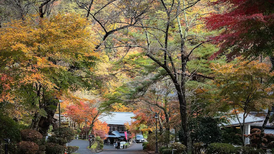 Osawa Onsen Sansuikaku