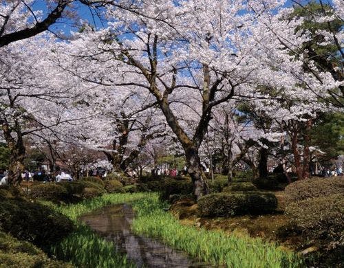 ２４時間受付・出発可能なレンタカーです。