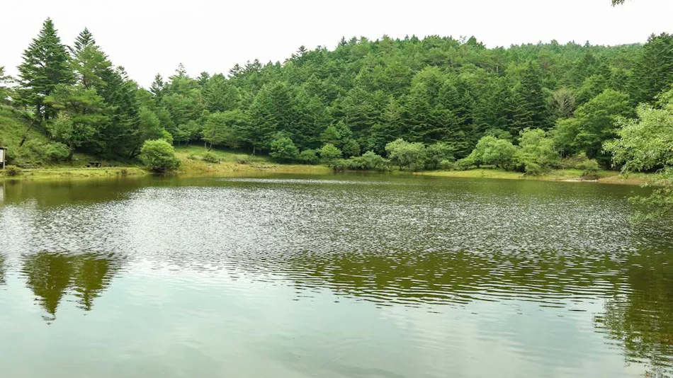 La Foret Tsurugi Mountain