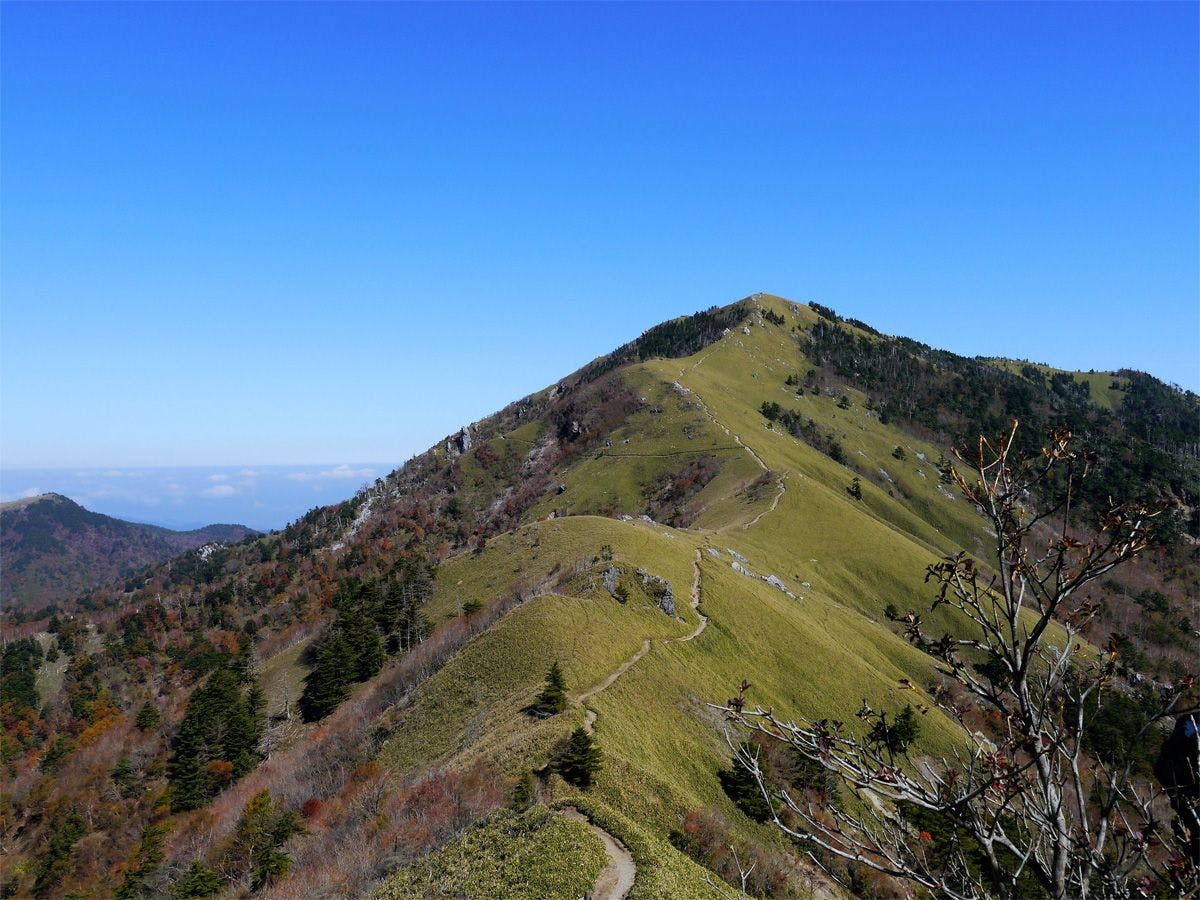 La Foret Tsurugi Mountain