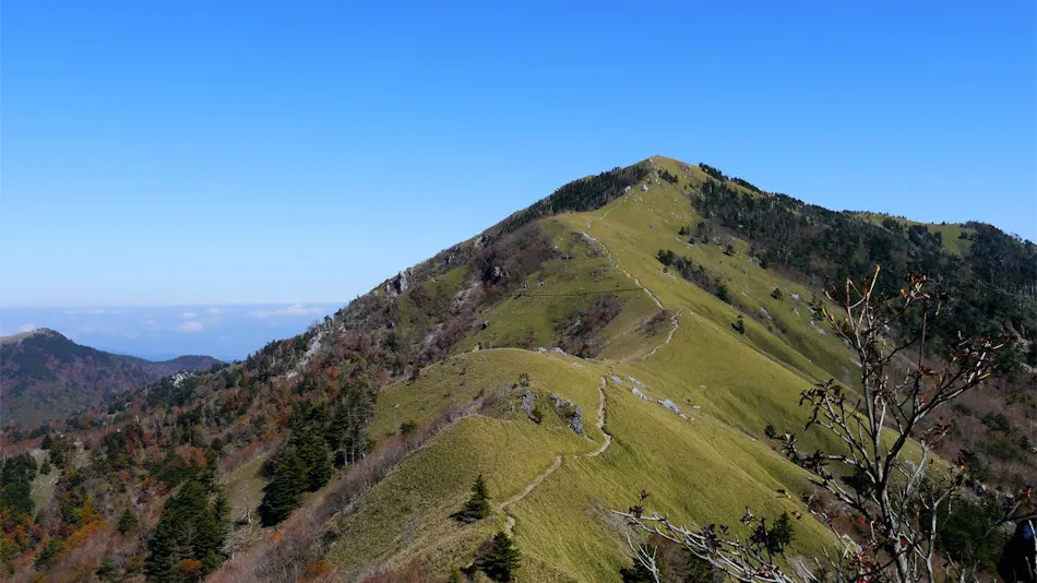 La Foret Tsurugi Mountain
