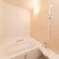 Contoh bilik mandi 1