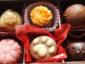 美ら海かふうテラス