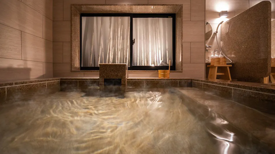 Natural Hot Spring Hanazawa no Yu Super Hotel Ishikari