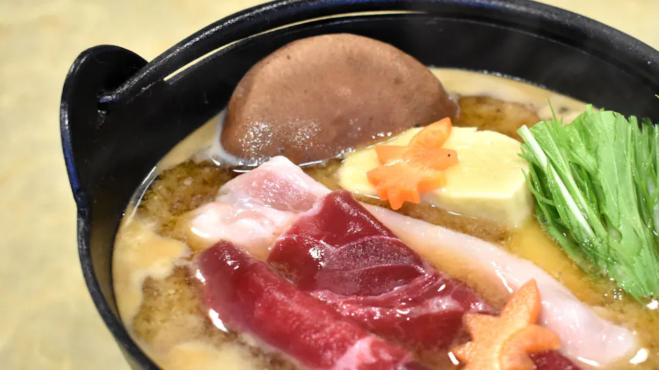 Shiobara Onsen Tokiwahotel