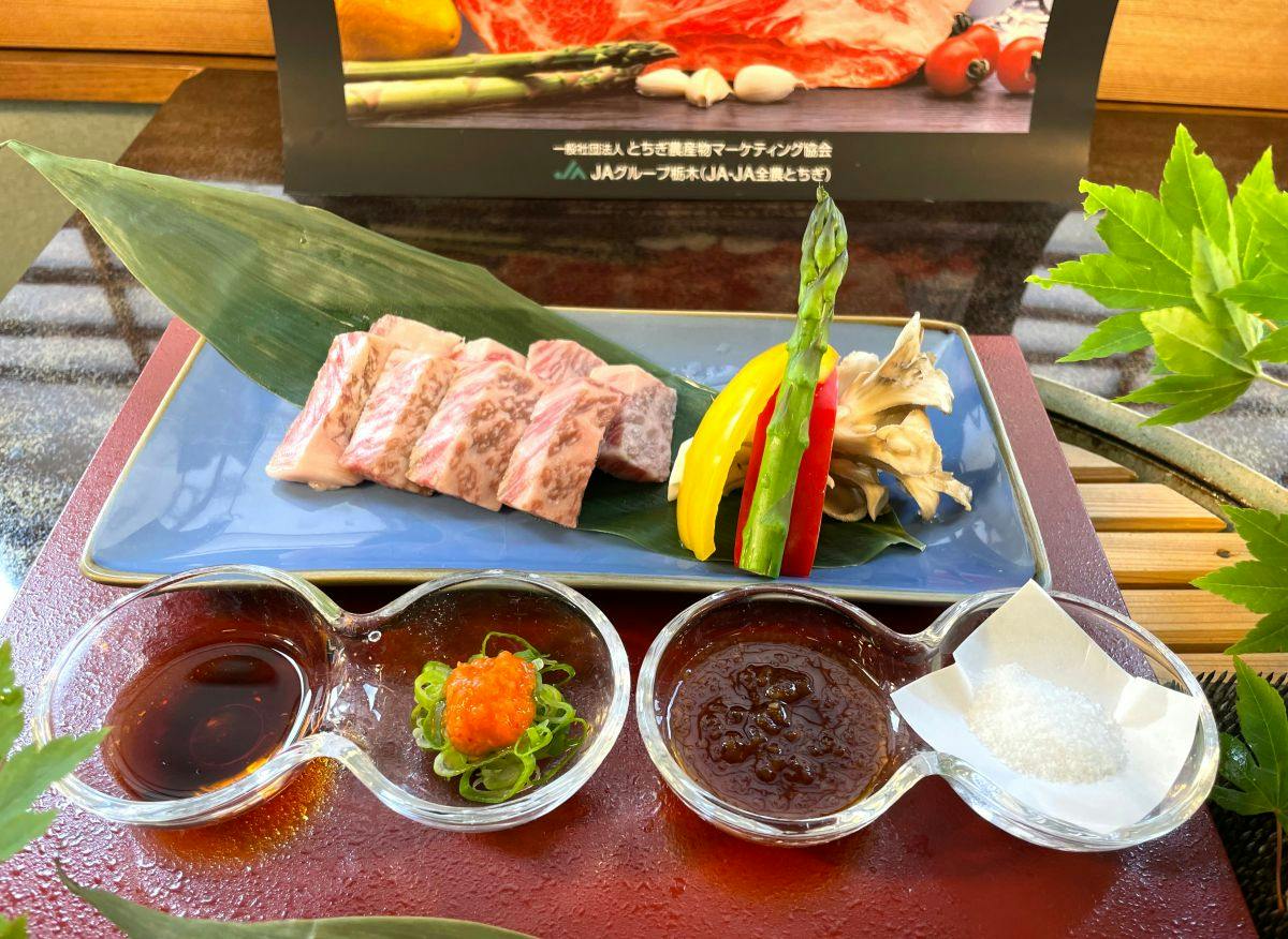 Shiobara Onsen Tokiwahotel