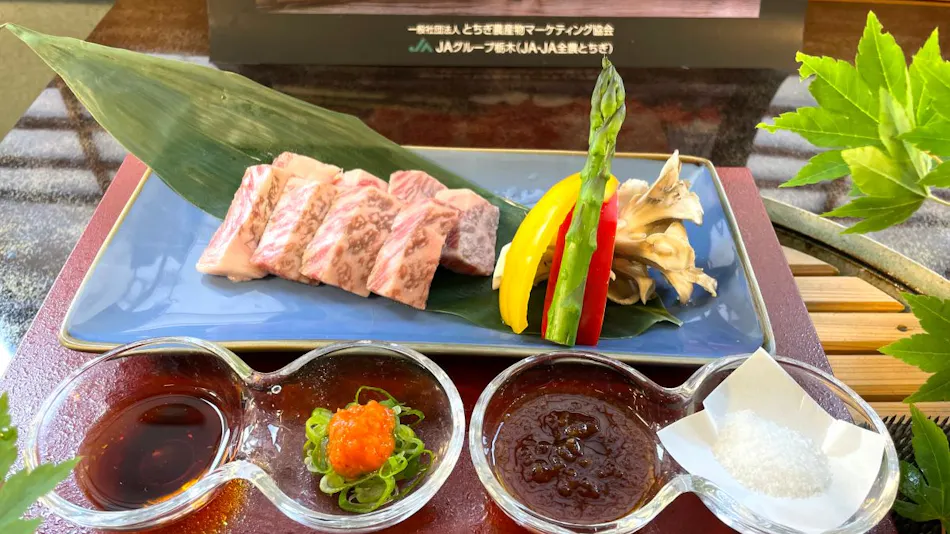 Shiobara Onsen Tokiwahotel