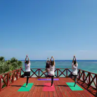 แผนโยคะรีทรีต