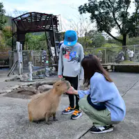 สัมผัสกับคาปิบาราที่อาณาจักรสัตว์