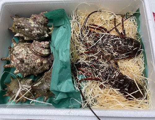 伊勢海老&サザエ