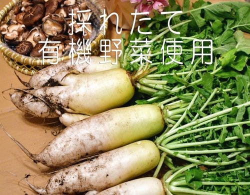 採れたて有機野菜を使用しております。