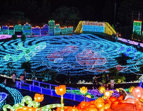 グランイルミ(お客様撮影）